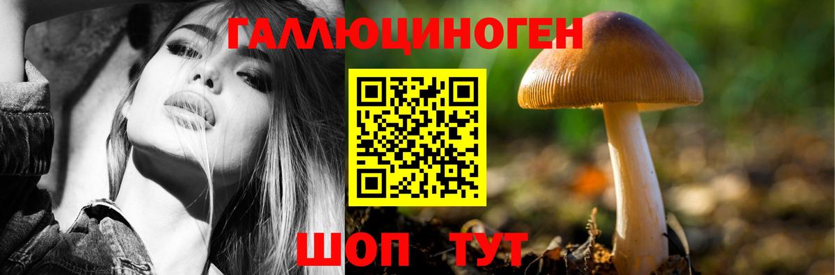 Галлюциногенные грибы Cubensis Кудрово